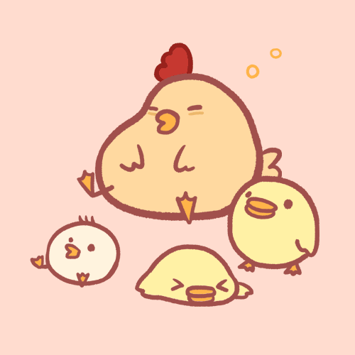 The Chicken Family
