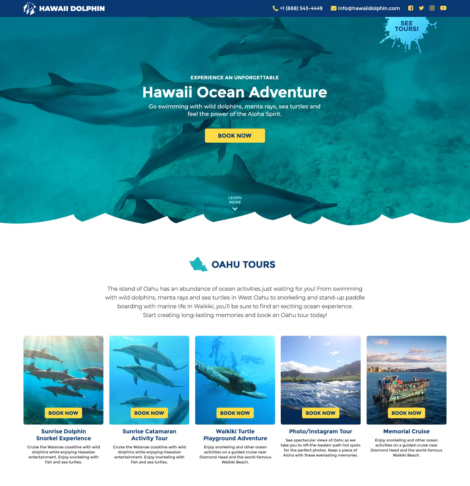 Hawaii Dolphin: Web Design