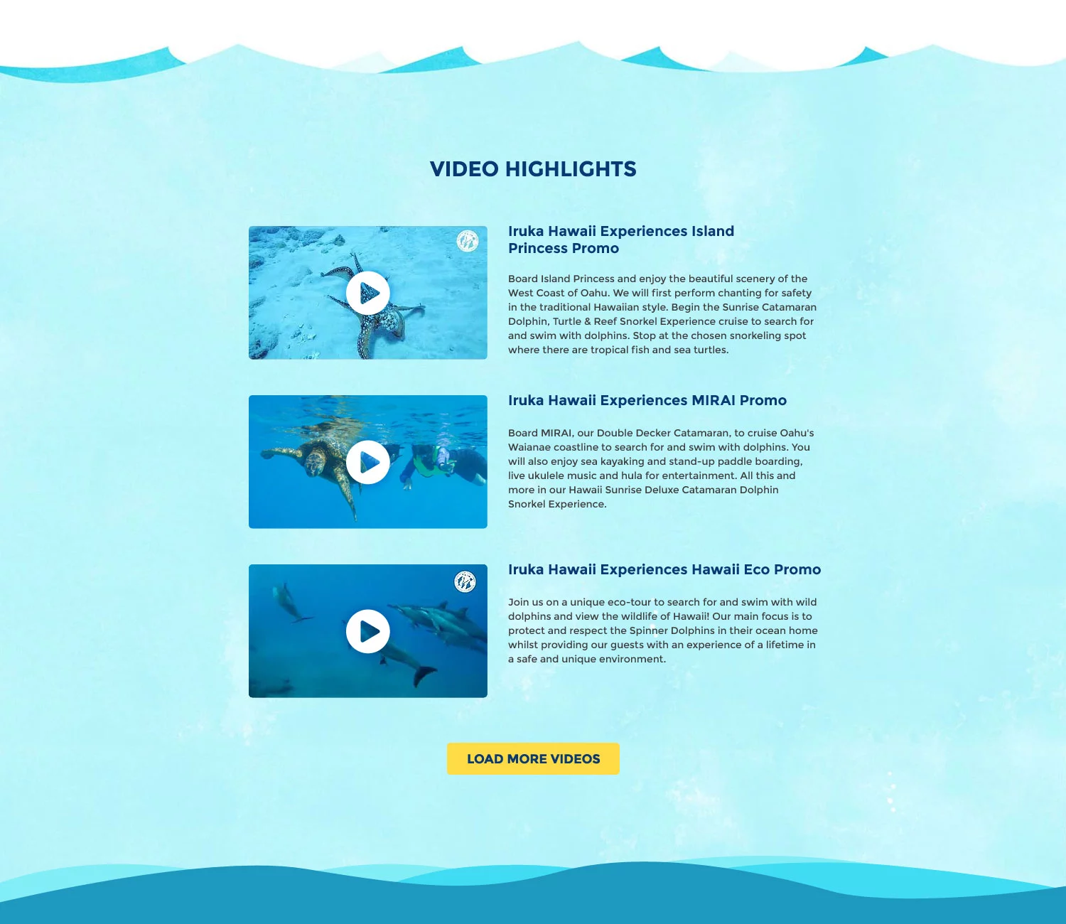 Hawaii Dolphin: Web Design