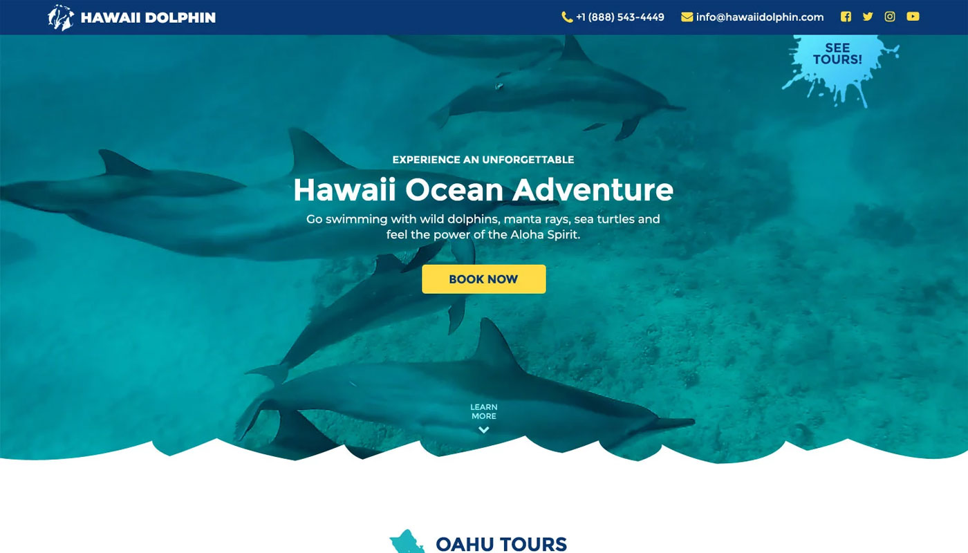 Hawaii Dolphin